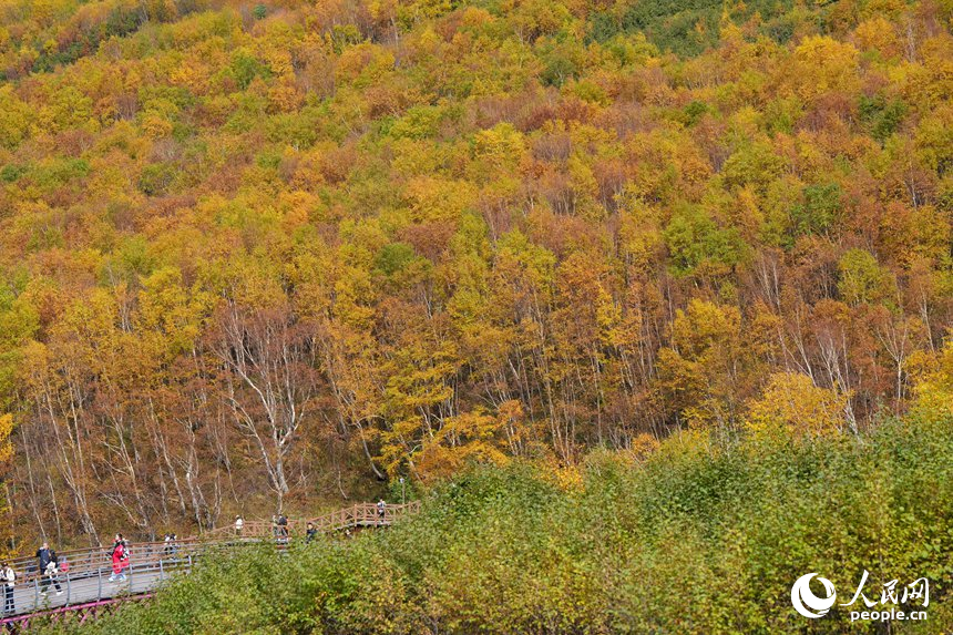 長白山迎“醉”美金秋季