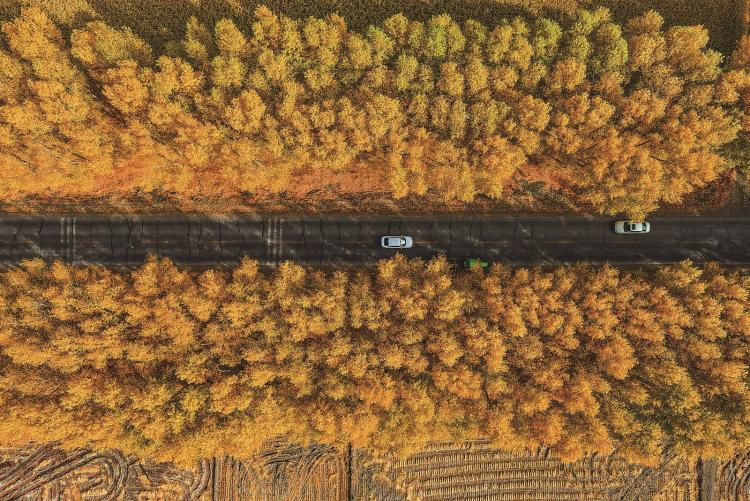 疊翠流金 秋滿吉林