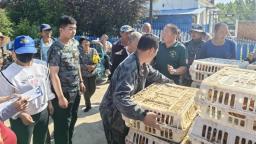 吉林安圖發展“庭院經濟”解鎖農民“增收密碼”