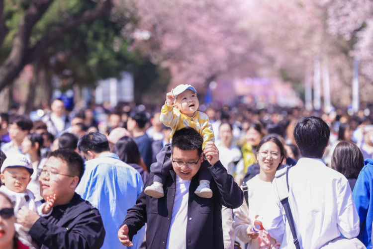 次第花開撬動吉林“賞花經濟”