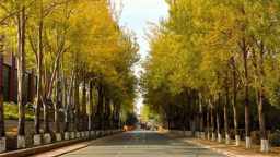 長春汽開區的秋 是硬核的 也是溫柔的