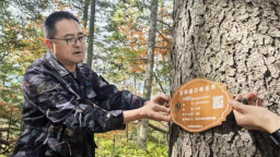 第四屆吉林省“最美退役軍人”孫風君：永葆軍人初心使命 守護林海綠水青山