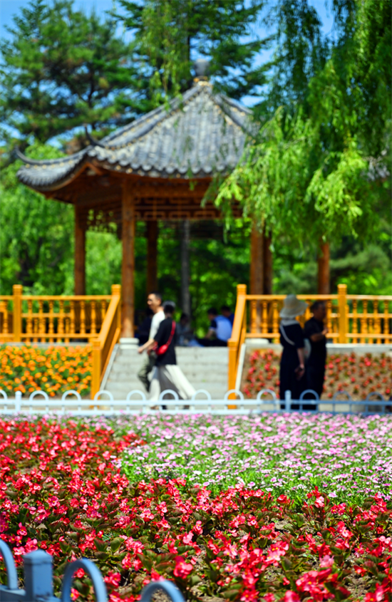 延吉公園花開成海絢爛迎夏_fororder_圖片4