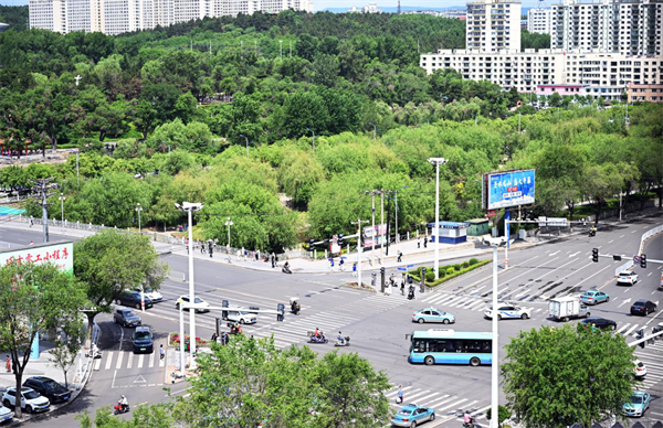 綠蔭如詩 延吉夏日“道”處是風景_fororder_吉林綠蔭1