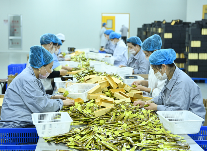 延邊人參産業煥“新”出彩