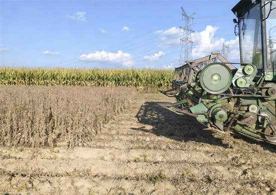 藏糧于地、藏糧于技 吉林省安圖縣激活糧食動能助振興_fororder_吉林藏糧2