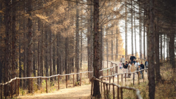 有一種生活叫延吉 在秋日的光影裏遇見美好