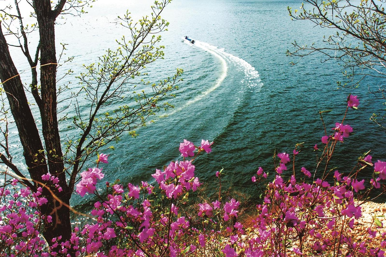 綠野尋芳 春遊白山