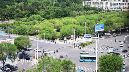 綠蔭如詩 延吉夏日“道”處是風景