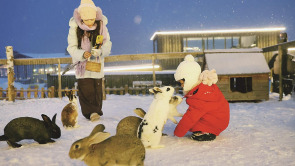 冬日萌寵樂園成新晉打卡地