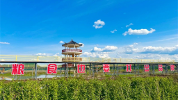 十年稻香路：返鄉創業青年金君牢記“糧食也要打出品牌”囑託 挺起大國農人擔當