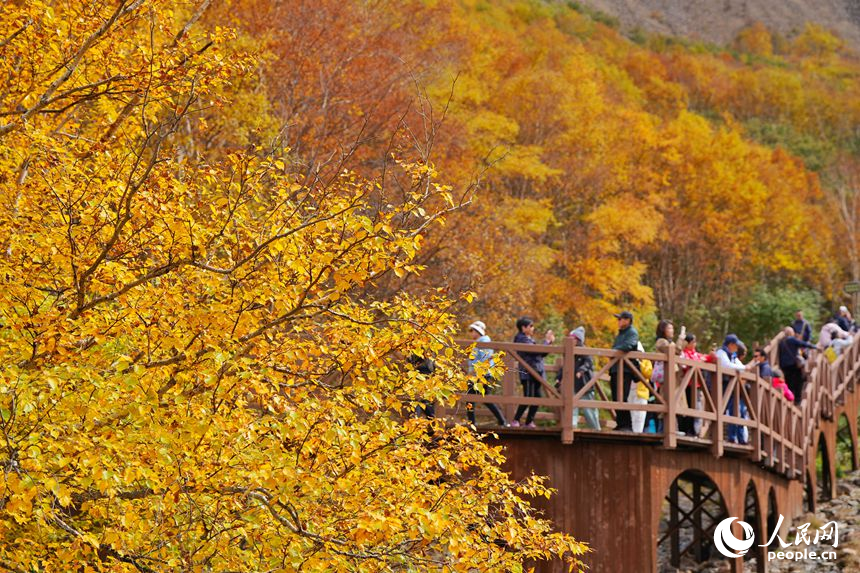 長白山迎“醉”美金秋季_fororder_吉林轉載圖6