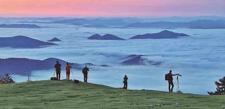 臨江市：高山草甸鬱鬱蔥蔥