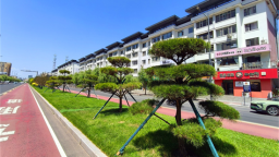 延吉公園路分車帶完成改造升級