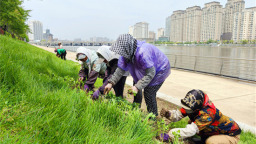 城市顏值再升級 延吉布河景觀提升工程加速推進