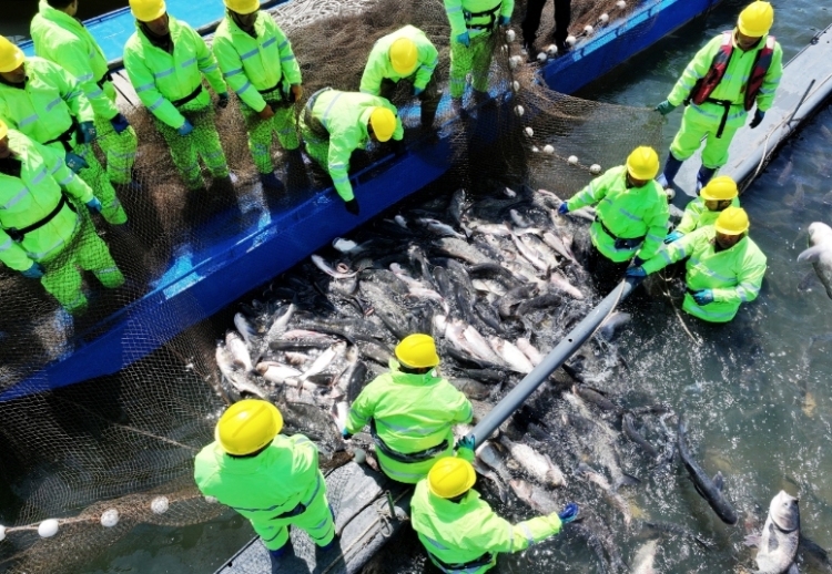 2025松花湖開江魚美食季拉開帷幕
