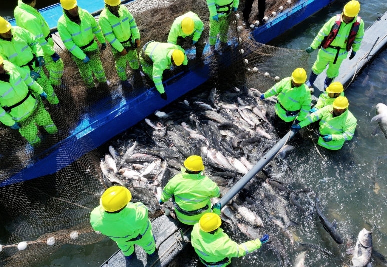 2025松花湖開江魚美食季拉開帷幕