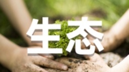延吉：拆除圍擋 釋放空間 綠化補植_fororder_mmexport1637160886609