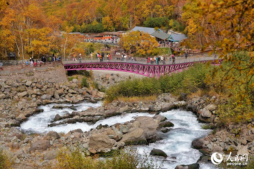 長白山迎“醉”美金秋季_fororder_吉林轉載圖2