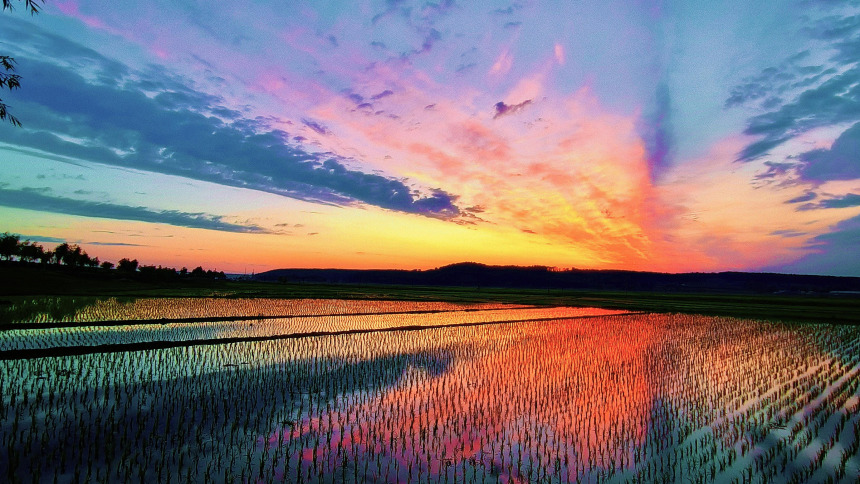 輝南：光影織錦，雲霧成“鳳”