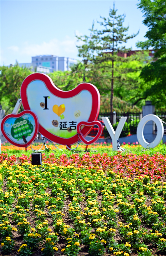 延吉公園花開成海絢爛迎夏_fororder_圖片2