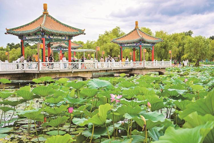 城市“綠肺” 價值幾何