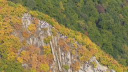 吉林市朱雀山層林盡染