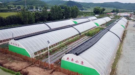 吉林安圖石門鎮：特色果蔬種植 激發鄉村振興新活力_fororder_吉林石門鎮1