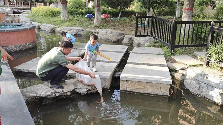 高品質發展看汽開 黨建引領基層治理的“車城”實踐