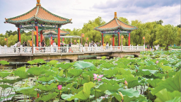 城市“綠肺” 價值幾何