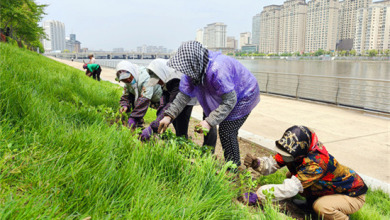 城市顏值再升級 延吉布河景觀提升工程加速推進