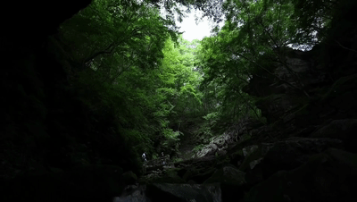 避暑需求撬動縣域遊“清涼”出圈