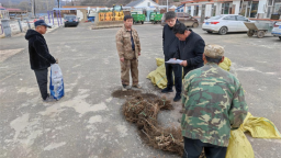 吉林安圖亮兵鎮千畝“紅色漿果”産業帶建設項目啟動