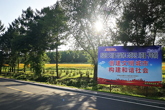 延吉市帽兒山下6萬平方米空地變“花海”