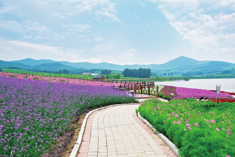 繪就安居樂業美好圖景——長春市雙陽區太平鎮小石村村企共建推動鄉村振興紀實