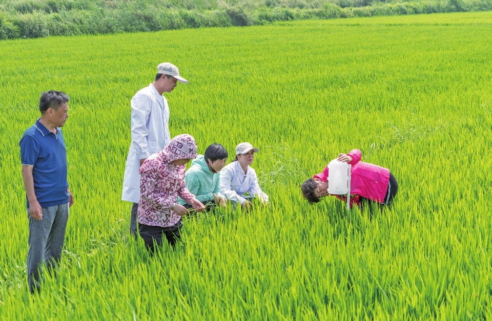 四平：産業扶貧夯實全面小康根基