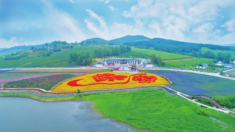 繪就安居樂業美好圖景——長春市雙陽區太平鎮小石村村企共建推動鄉村振興紀實