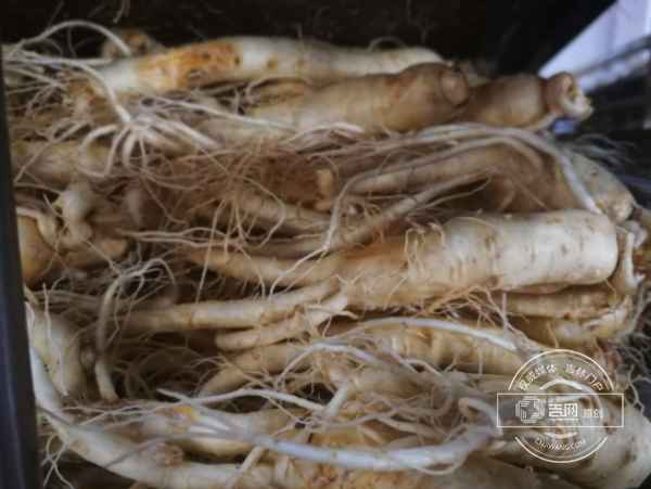 吉林撫松：“中國參鄉”如何享譽全球