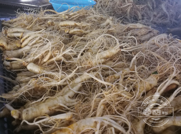 吉林撫松：“中國參鄉”如何享譽全球
