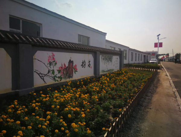 繪綠水青山藍圖 建宜居魅力寬城 長春市寬城區農村人居環境整治工作紀實