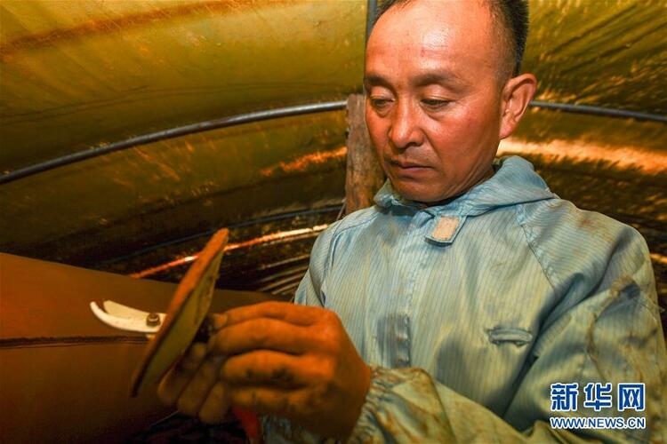 從“因殘致貧”到“帶頭脫貧”——吉林靖宇有這樣一位“脫貧英雄”