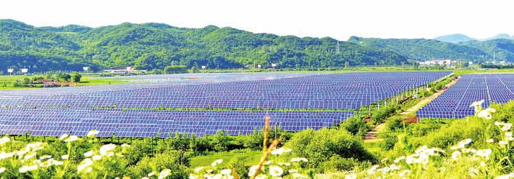 希望在前 重任在肩——來自白山市脫貧攻堅的報告