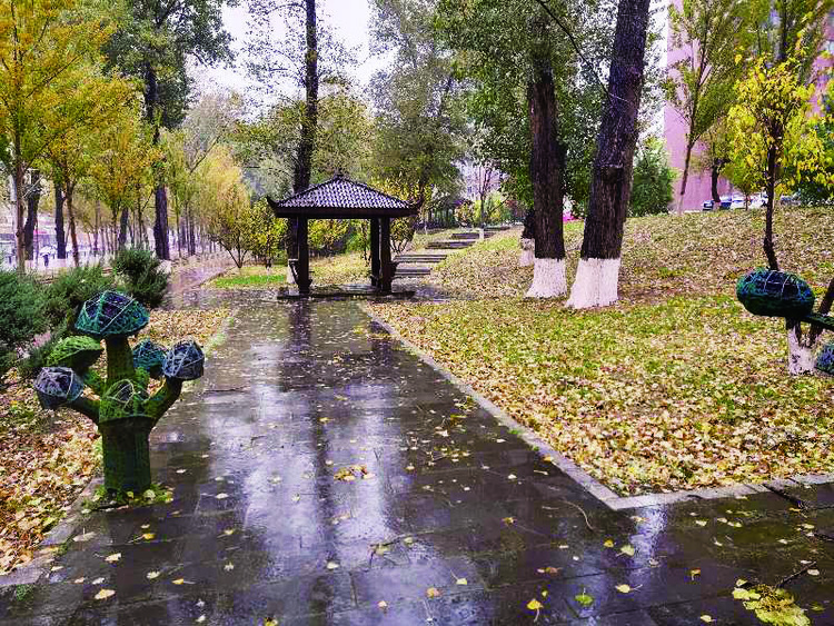 長春市打造4條落葉景觀路——美翻！