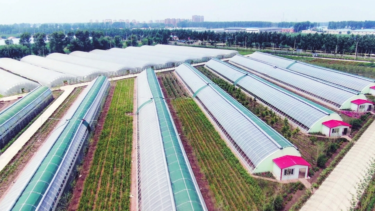 興了鄉村 富了鄉親——長春市寬城區推動鄉村振興提升農村人居環境紀實