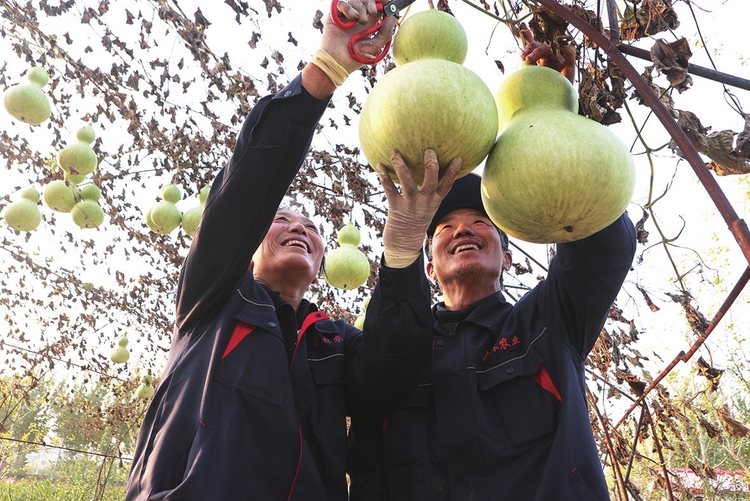 興了鄉村 富了鄉親——長春市寬城區推動鄉村振興提升農村人居環境紀實
