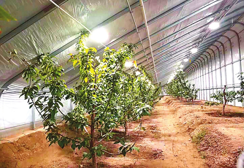 山好水美 更上層樓——我省休閒農業提檔升級走筆