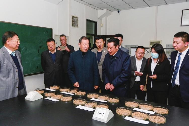 校企聯合 深耕油莎豆産業新藍海