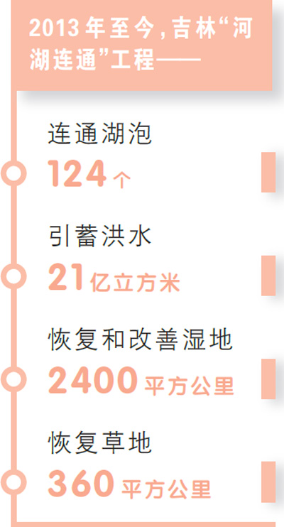 吉林西部河湖連通 2400平方公里土地變成濕地