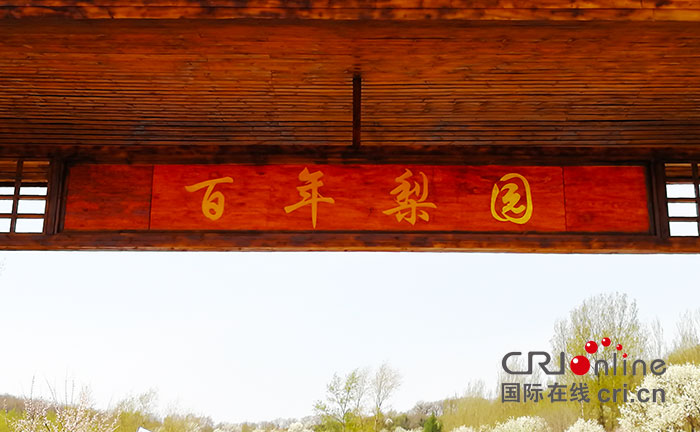 01【吉林】【原創】【CRI看吉林（標題）】【圖説吉林】【關東黑土（長春）】【移動版（圖）】“尋夢蓮花山•百年梨園情”長春蓮花山第二屆梨花節開幕
