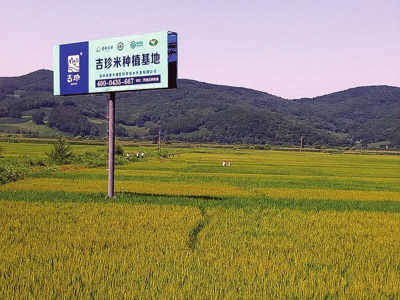 吉林省發展綠色生態農業：樹品牌 講品質 無公害